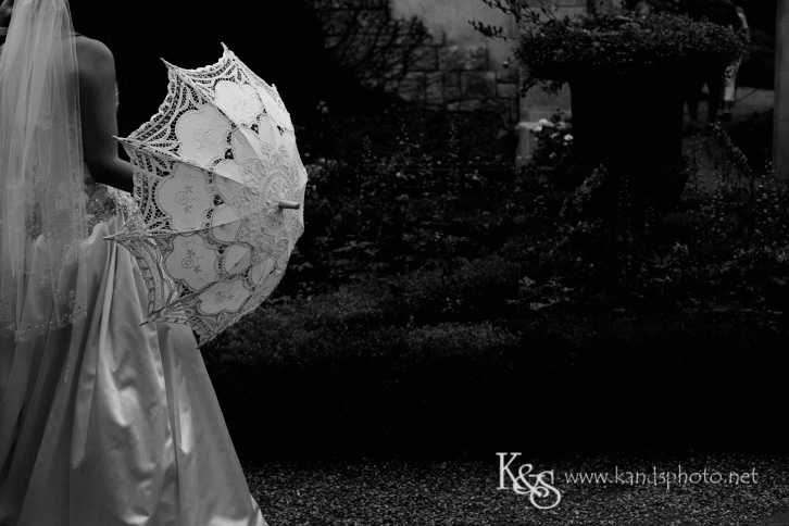 dallas chinese wedding photographer